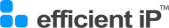 Logo Efficient IP